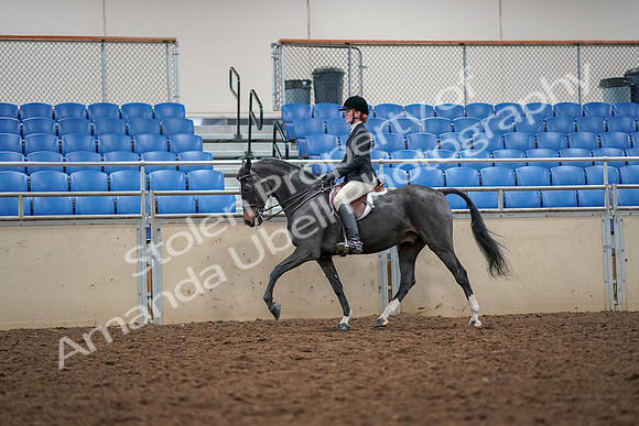 2019 Morgan Horse Show - Aug 30, 2019 - 23288
