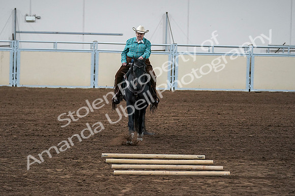 2020 - AB Morgan Horse - Fri, Sept 04 - 00508