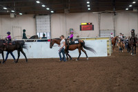 2019 Morgan Horse Show - Aug 31, 2019 - 18894