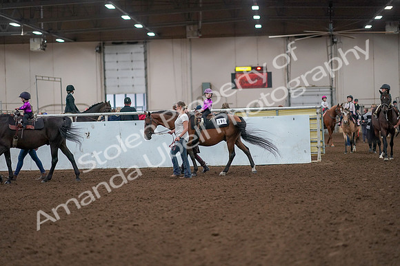 2019 Morgan Horse Show - Aug 31, 2019 - 18894