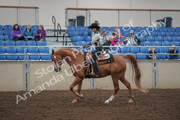 2019 Morgan Horse Show - Aug 30, 2019 - 26106