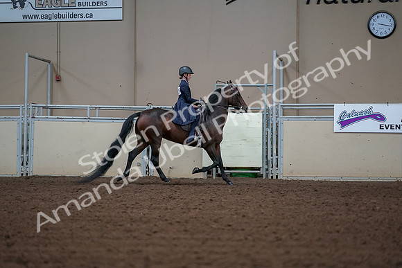2019 Morgan Horse Show - Aug 30, 2019 - 18097
