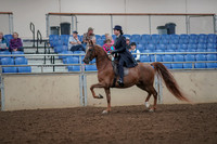 2019 Morgan Horse Show - Aug 30, 2019 - 26766