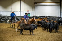 Herd Work - Rein Box