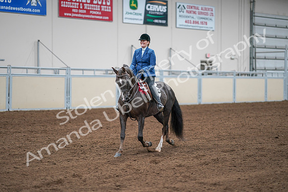 2020 - AB Morgan Horse - Sat, Sept 05 - 05254