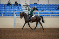 2020 - AB Morgan Horse - Fri, Sept 04 - 03949