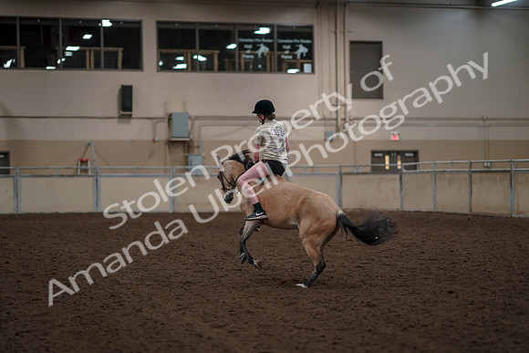 2019 Morgan Horse Show - Aug 30, 2019 - 31258