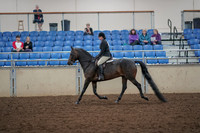 2019 Morgan Horse Show - Aug 30, 2019 - 27199