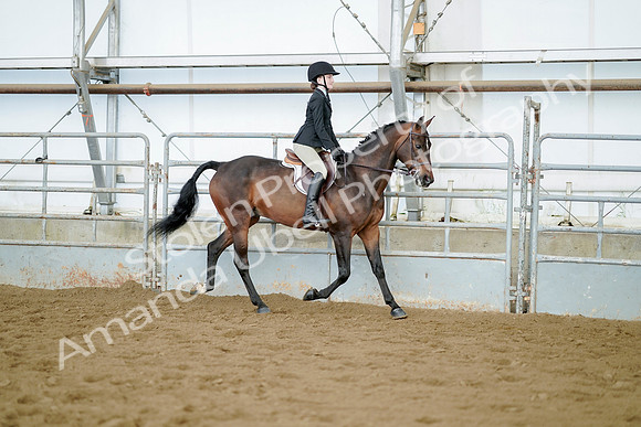 July 21, 2019 - 03446