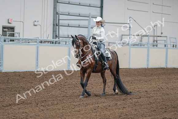 2020 - AB Morgan Horse - Sat, Sept 05 - 09010