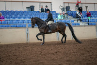 2019 Morgan Horse Show - Aug 30, 2019 - 19859