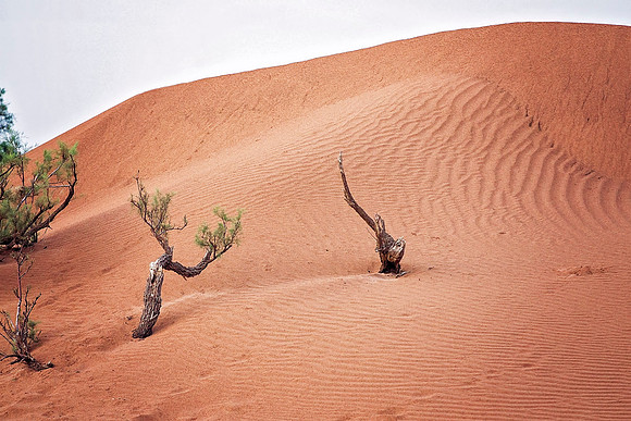 Morocco - 128