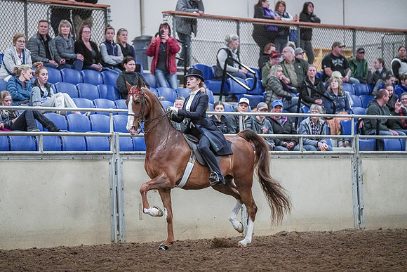 Spring Fling - Saturday - April 20, 2019  -  04376