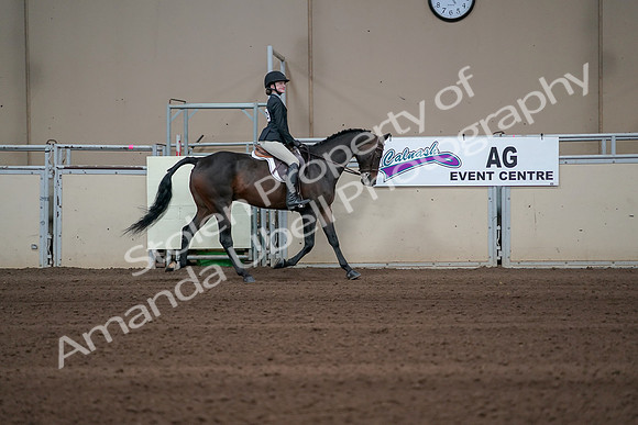 2019 Morgan Horse Show - Sept 01, 2019 - 03804