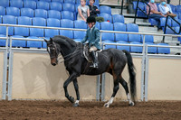 2020 - AB Morgan Horse - Fri, Sept 04 - 07730