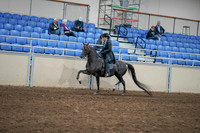 2020 - AB Morgan Horse - Sat, Sept 05 - 00829