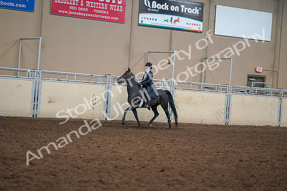 2019 Morgan Horse Show - Aug 30, 2019 - 12218