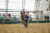 Class 095 - Leadline , Any age