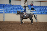 2020 - AB Morgan Horse - Sat, Sept 05 - 01172
