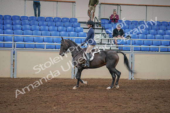 2020 - AB Morgan Horse - Sat, Sept 05 - 01172