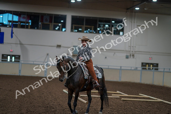 2020 - AB Morgan Horse - Fri, Sept 04 - 00375