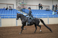 2020 - AB Morgan Horse - Fri, Sept 04 - 05327
