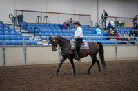 2019 Morgan Horse Show - Aug 31, 2019 - 14120
