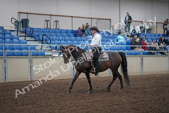 2019 Morgan Horse Show - Aug 31, 2019 - 14120