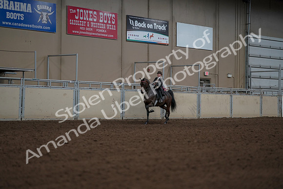 2019 Morgan Horse Show - Aug 30, 2019 - 28277