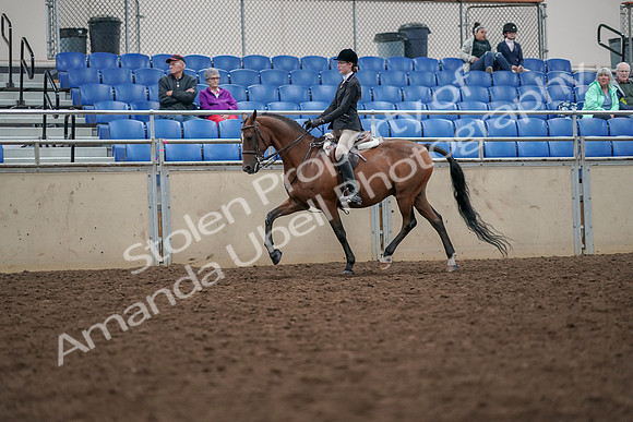 2019 Morgan Horse Show - Aug 30, 2019 - 20348