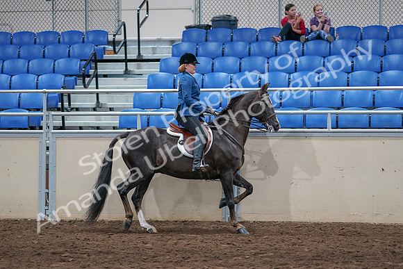 2020 - AB Morgan Horse - Sat, Sept 05 - 05221