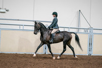 2020 - AB Morgan Horse - Sat, Sept 05 - 09068