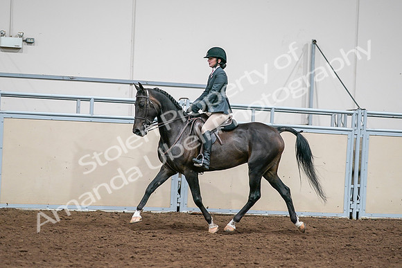 2020 - AB Morgan Horse - Sat, Sept 05 - 09068