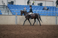 2019 Morgan Horse Show - Sept 01, 2019 - 09011