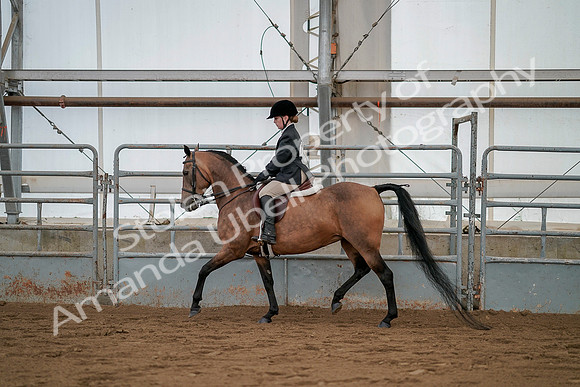 July 19, 2019 - 2569