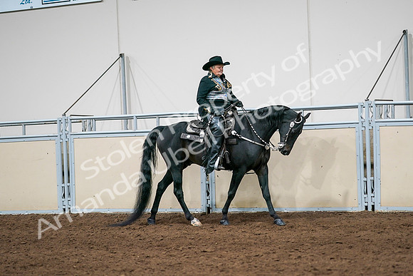 2020 - AB Morgan Horse - Sat, Sept 05 - 08942