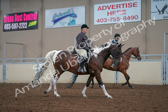 2019 Morgan Horse Show - Aug 30, 2019 - 16436