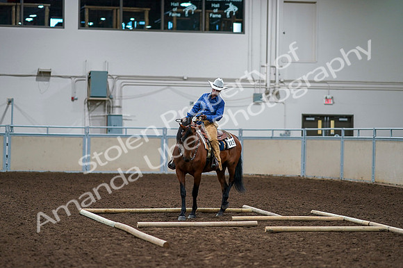 2020 - AB Morgan Horse - Fri, Sept 04 - 00269