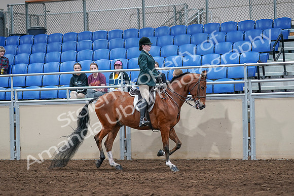2020 - AB Morgan Horse - Sat, Sept 05 - 05182