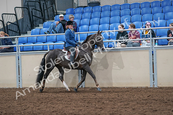 2020 - AB Morgan Horse - Sat, Sept 05 - 05207