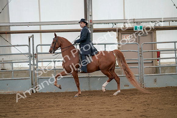 July 20, 2019 - 02107
