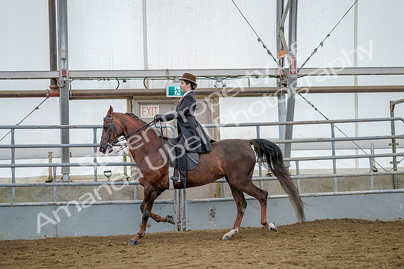 July 20, 2019 - 14387
