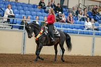 2020 - AB Morgan Horse - Sat, Sept 05 - 10353