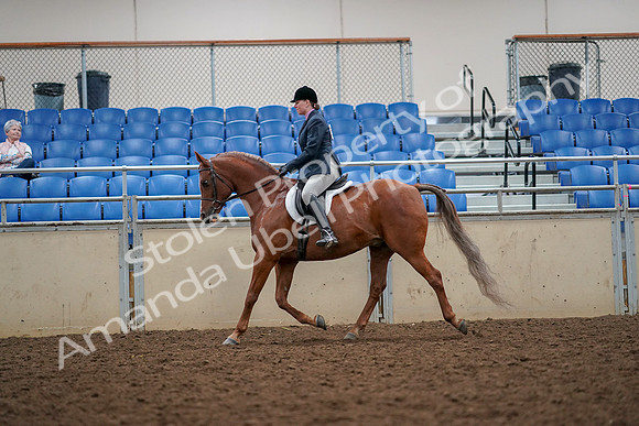 2019 Morgan Horse Show - Aug 30, 2019 - 22319