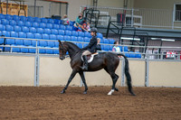 2020 - AB Morgan Horse - Fri, Sept 04 - 01993