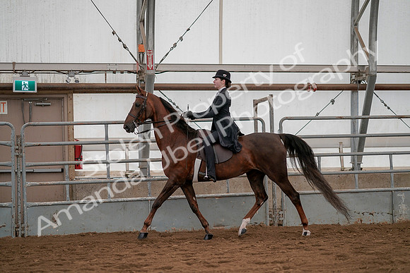 July 19, 2019 - 3007
