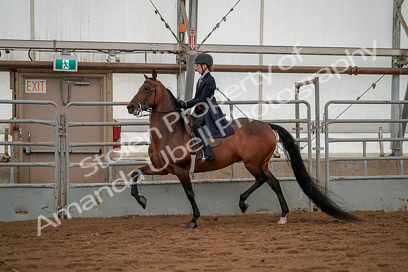 July 19, 2019 - 3805