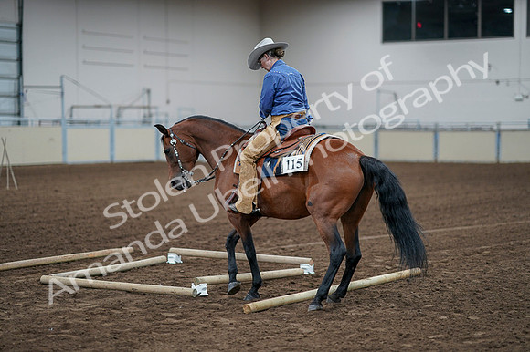 2020 - AB Morgan Horse - Fri, Sept 04 - 00279