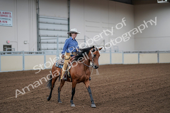 2020 - AB Morgan Horse - Fri, Sept 04 - 00012