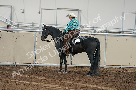 2020 - AB Morgan Horse - Fri, Sept 04 - 00650